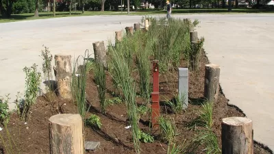 Bioswale