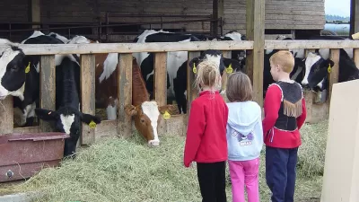 Family Farm