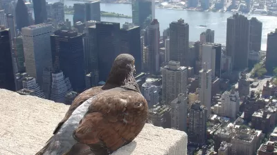 Manhattan