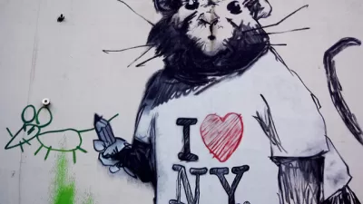 Vermin Graffiti