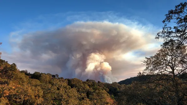 Wildfire