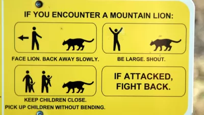 WIldlife