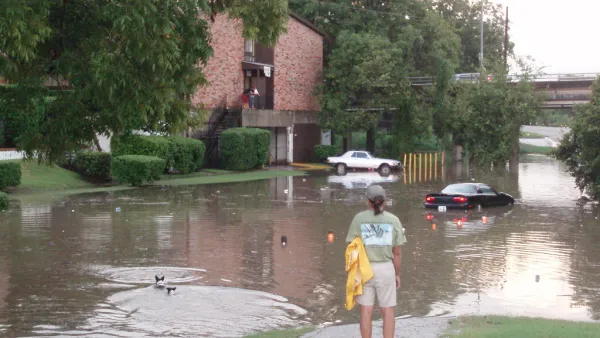Person stands on sidewalk looking at flooded street in Houston, Texas with one car submerged in street and two dogs swimming across.