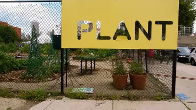 Chicago Community Garden
