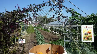 Philadelphia Urban Farm