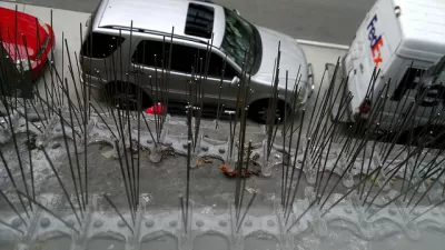 Bird Poop Prevention