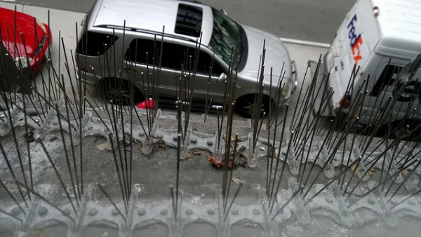 Bird Poop Prevention