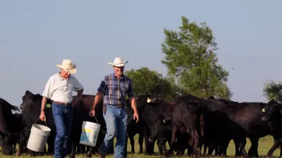 Cattle Farmers