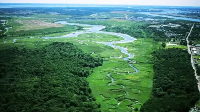AErial view of lush green Freshkills Park wetlands surrounded by trees in Staten Island, New York.