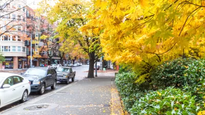 Sidewalk in Seattle with yellow fall leaves on the ground and cars parked next to the curb.