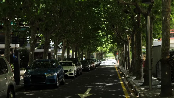 Tree-lined street with large old trees and full parking lane and one-way driving lane in Spain.
