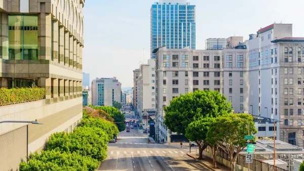 Looking out at trees on 4th Street in downtown Los Angeles, California.