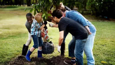 Group of people planting a small tree.