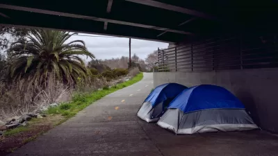 Two blue and white tents on a paved bike trail under an overpass in San Diego, California with palm tree and vegetation on one side