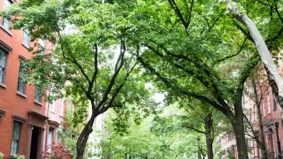 Tree lined residential street in the historic West Village neighborhood of Greenwich Village in Manhattan, New York City.
