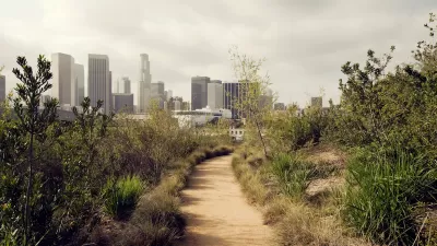 View of dirt trail between shrubs with downtown Los Angeles skyline in background.