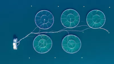 Overhead view of salmon farm in sea in Norway.