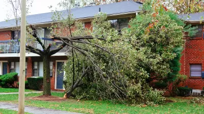 Tree fallen on home in Texas afetr Hurricane Harvey.