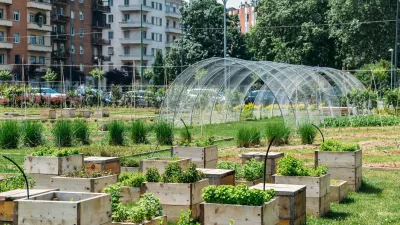 Planter boxes and hoop tunnel with housing in the background