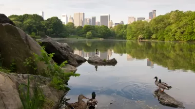 Lake in city park with ducks in foreground and city skyline across the lake in the background.