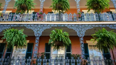 View looking up at wrought iron French Quarter balcony in New Orleans with bright green fern plants in planters.