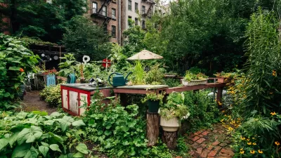 Lush urban community garden with raised beds in dense New York City neighborhood with brick apartment buildings in background.