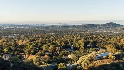 View of wooded area and homes in Altadena, California with hills and downtown Los Angeles, California in the distance.