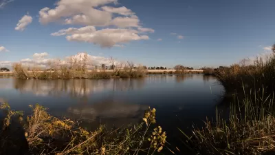 View from shore of Sepulveda Basin water catchment basin with marsh plants along shore.