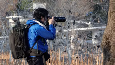 Man in blue jacket photographs birds outdoors with zoom lens