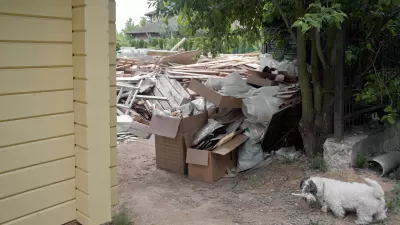 Little white dog passing through opening to backyard between the corner of a house and a line of privacy shrubs. The backyard is full of timber and other construction debris.