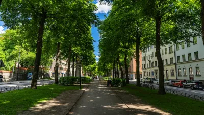 Quiet tree-lined street in Stockholm, Sweden in summer.