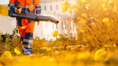 Low shot of worker in orange pants using leaf blower on yellow leaves.