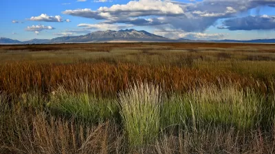 Wild grasses and Reeds in wetlands with the backdrop of Blanca Peak, sacred to the Navajo People, Alamosa National Wildlife Refuge, Colorado.