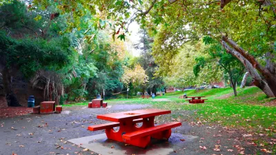 Red picnic benches in lush forested area in Griffith Park in Los Angeles, California.