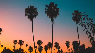 Sillhouettes of tall alm trees in Los Angeles against dark sunset colors