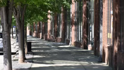 Urban sidewalk shaded by large mature trees