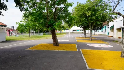 Trees in a schoolyard.