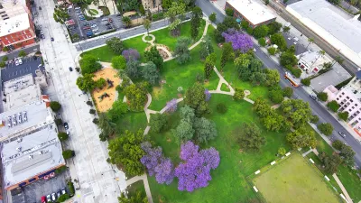 Aerial view of green park with purple blooming jacaranda trees in Pasadena, California.