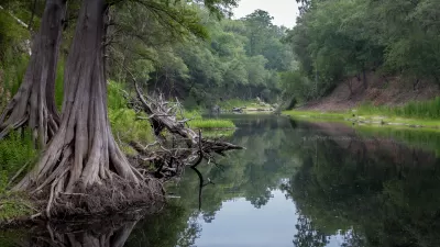 Suwanee river with tall trees along the banks in northern Florida