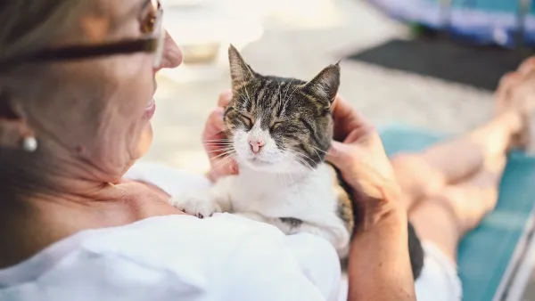 Close-up on older woman holding contented looking cat on her lap.