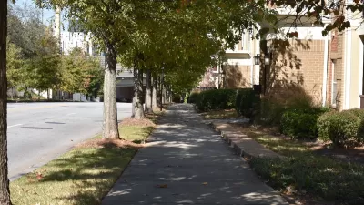 Mature trees shading an urban sidewalk.