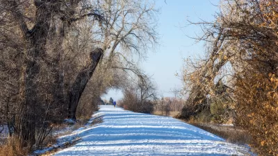 Snowy path with trees on both sides near Denver, Colorado.