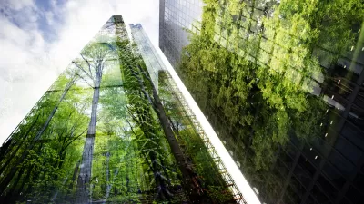 Green trees reflected in high-rise skyscrapers.