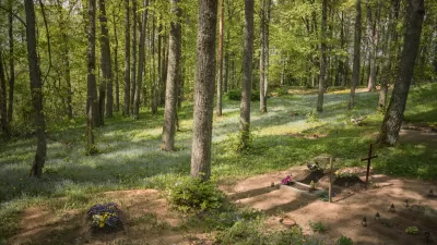 Photos of modest gravesites surrounded by a lush, green forest.