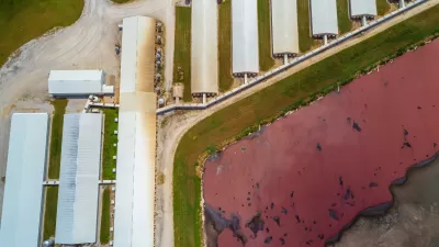 Aerial view of large barns and a massive manure lagoon.