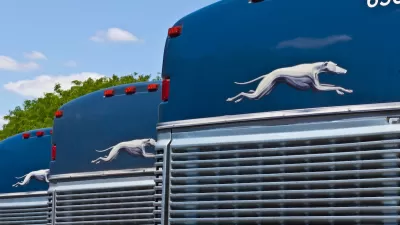 Dark blue Greyhound buses parked in a row.