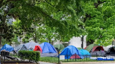 Tents covered with blue tarps in a homeless encampment on a lawn in Washington, D.C.
