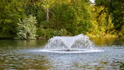 Artesian fountain in point against backdrop of green forest in city park.