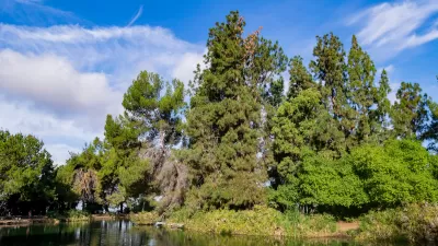 View of trees and pond at Ernest E. Debs Regional Park in Los Angeles, California.