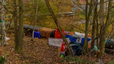 Small encampment with tents and mattress along heating pipe in green forest.